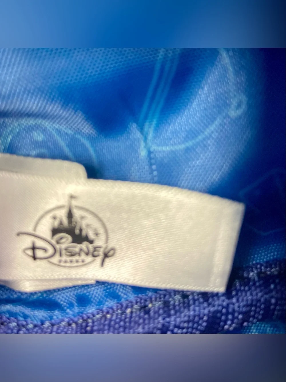Disney Parks Epcot Remy’s Ratatouille Adventure Chef Rat Wristlet Bag Pouch